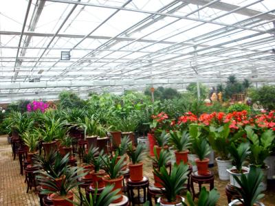 China Estufa exterior comercial da exposição, casas verdes de crescimento de flor grandes à venda