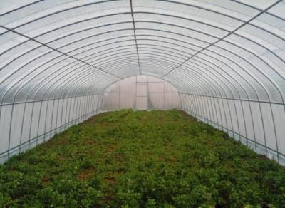 China Galvanized Steel  Hoop Style Greenhouse , Vegetable Pe Film Greenhouse Side Height 1 / 2m for sale