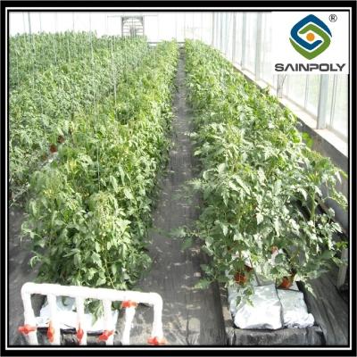 China High Elasticity Polyethylene Film Greenhouse For Vegetables And Plants for sale