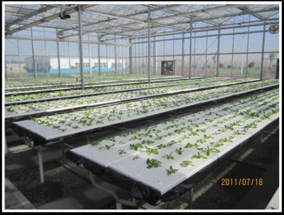 中国 PEのプラスチック フィルムの野菜栽培のためのHydroponic多スパンの温室 販売のため