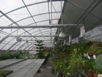 China Components Underground Multi Span Greenhouse Structure , Multi Tunnel Greenhouse for sale