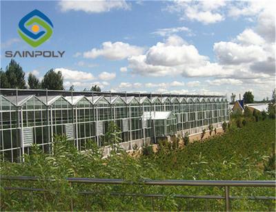 China Span 9m Commercial Glass Greenhouse Hot Digged Galvanized Steel for sale