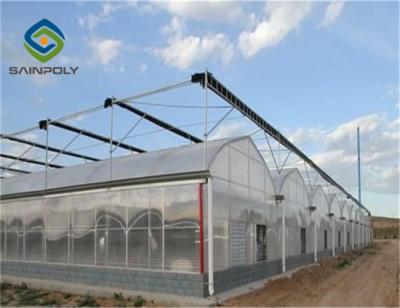 중국 벤로는 야채를 위한 9.6m 다중 전폭 온실을 지붕으로 덮습니다 판매용