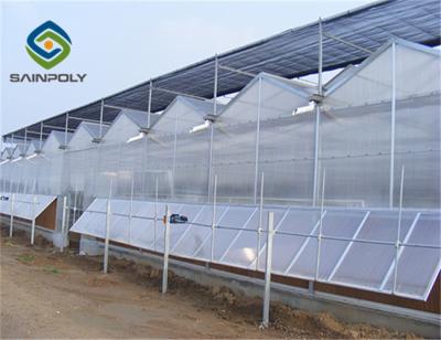 China Invernadero de la hoja de la PC del policarbonato con el equipo de la irrigación en venta