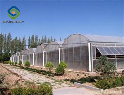 China Impact Resistant 12m Polycarbonate Greenhouse For Farm for sale