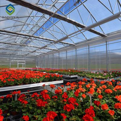 中国 アーチの屋根10.8mのPCシートの温室の花成長 販売のため