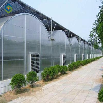 China 12m Multi Span Greenhouse With Hydroponic Growing Systems for sale