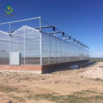 China Commercial Garden Transparent 7.5m PC Sheet Greenhouse for sale