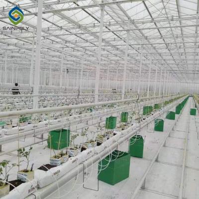 China Estructuras de acero del hidrocultivo del invernadero multi grande agrícola del palmo en venta