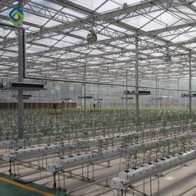 Cina Resistente uv di larghezza 6M 8M 10m Polyethylene Film Greenhouse in vendita