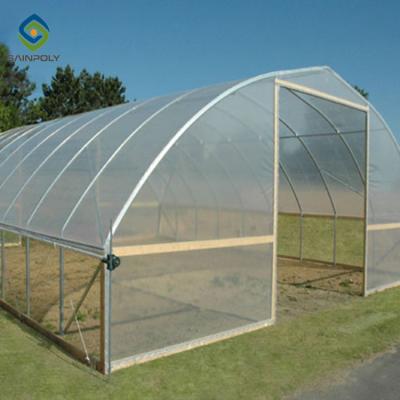 China 0.5KN/M2 Clear Polythene Single Tunnel Greenhouse for sale