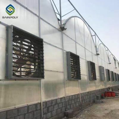 China Multi Span 3.0m Arch Polycarbonate Greenhouses for sale