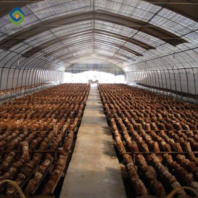 China Luz Dep Greenhouse Polythene Film Covered do cogumelo 30m à venda