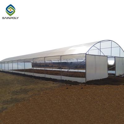 China 0.20mm Cucumber Plant Pe Film Single Tunnel Greenhouse for sale