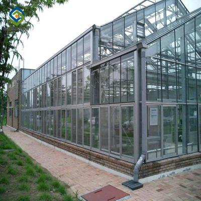 China Anchura de cristal comercial 9,6/10,8/el 12m del palmo del invernadero de la planta vegetal en venta