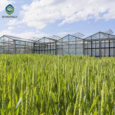 China Exhibition Multi Span Greenhouse , Glass Green Houses Hanging Load 0.15KN/M2 for sale