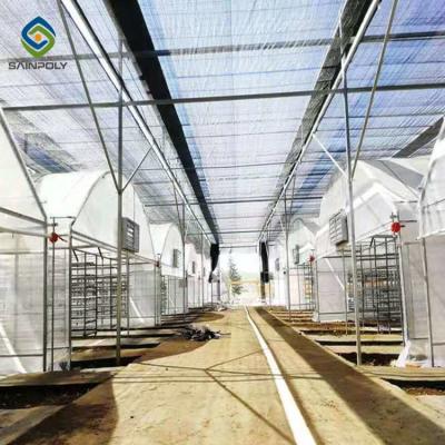 China Herbs 200 Micron PE 30m Light Deprivation Greenhouse for sale