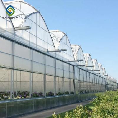 China Vegetable Multi Span 3.0m Arch PC Sheet Greenhouse for sale