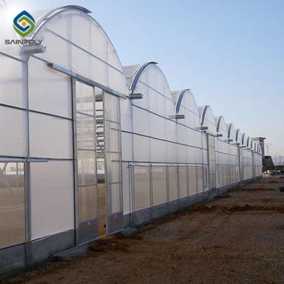China 12m Polycarbonate Greenhouse Hydroponic Growing Systems for sale