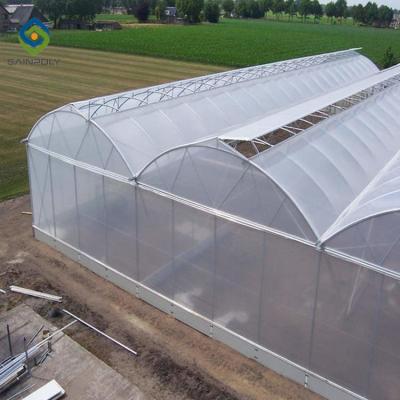 China Arch Roof 10.8m PC Sheet Greenhouse Flower Growing for sale
