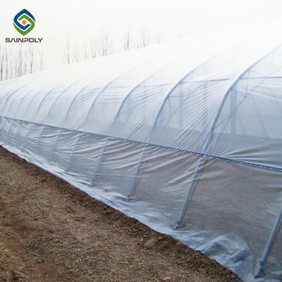 China Hot Galvanized Steel 12m Single Tunnel Greenhouse for sale