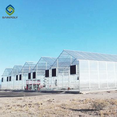 China Heat Resistance Skeleton 12m Flower Polycarbonate Greenhouse for sale