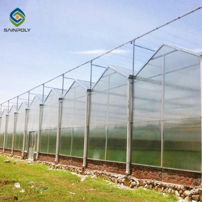 China Exhibition Multi Span Polycarbonate Plastic Greenhouse for sale