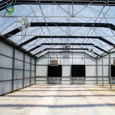 China 30m Herbs Automated Light Deprivation Greenhouse for sale