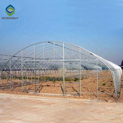 China 0.5KN/M2 Clear Polythene 4m Single Tunnel Greenhouse for sale