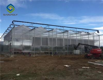 China Hot Dipped Galvanized Steel 7.5m Polycarbonate Greenhouse for sale