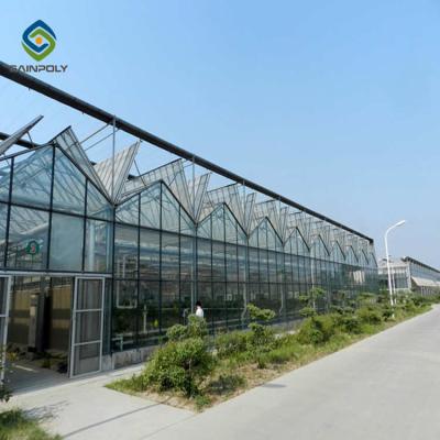 China 12m Large Agricultural Glass Greenhouse Galvanized Steel Frame Truss for sale