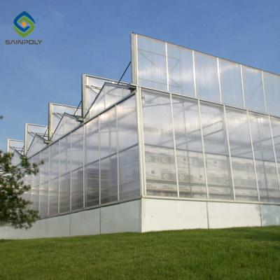 China Garden Transparent Exhibition 10mm PC Sheet Greenhouse for sale