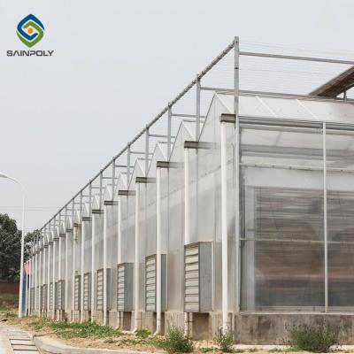 China Skeleton 12m Flower Polycarbonate Greenhouse Heat Resistance for sale