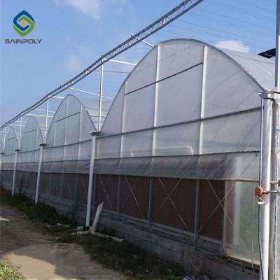 China 4m Large Double Arch Polyethylene Film Greenhouse Agriculture Pressure for sale