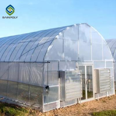 China Single Span Tunnel Steel Frame Greenhouse With Plastic Covering for sale