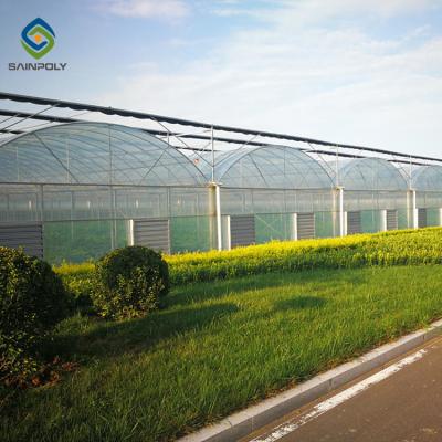 China Multi Functional 4m Polycarbonate Film Greenhouse Side Ventilation for sale
