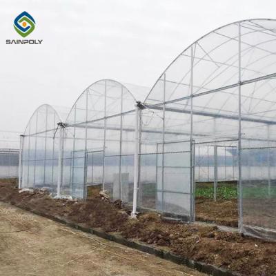 China Multi Span Arch Plastic Film Greenhouse Tomato Strawberry Greenhouse Turnkey Project for sale
