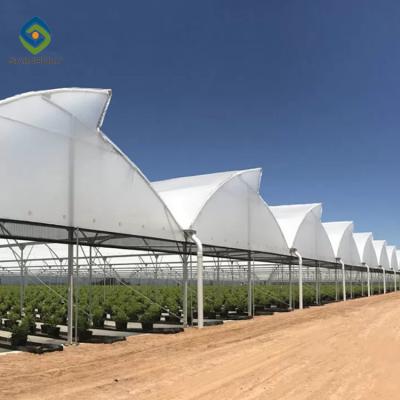 China Saw Tooth Roof Vents Span Plastic Film Greenhouse For Tropical Climate for sale