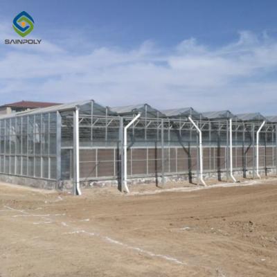 China Large Size Generator Plastic Sheet Greenhouse With Project Commercial Hydroponic Systems for sale