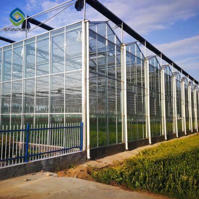 China Agriculture Multi Span Commercial Glass Greenhouse Hydroponic Greenhouse for sale