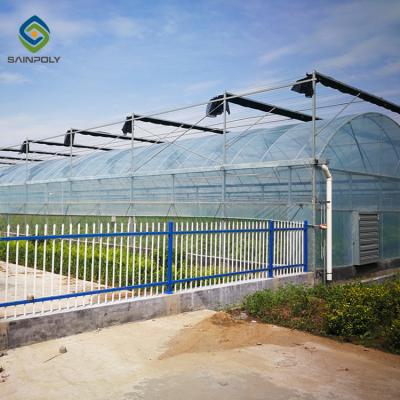China Horticultural Toughened Glass Greenhouse 9.6m / 10.8m / 12m Span for sale