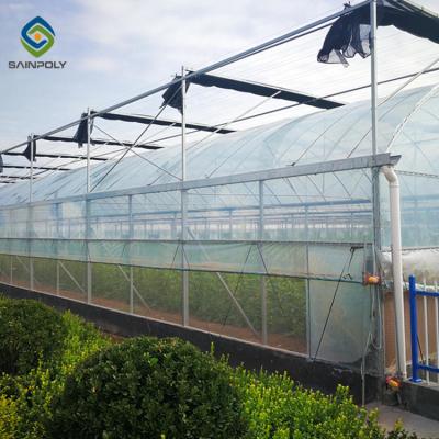 China Hydroponic Agriculture Commercial Glass Greenhouse With Shading System for sale