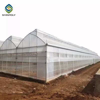 China Large Double Arch 4.5m Multi Span Greenhouse Stable Structure Layer 0.15 Film for sale