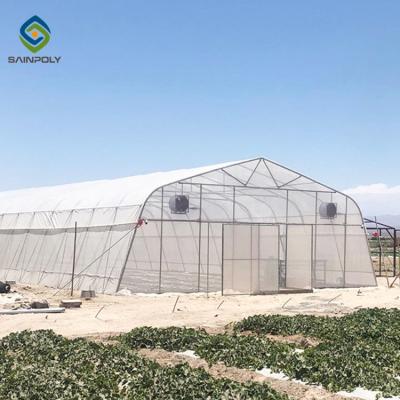 China Agricultural Tunnel PE Film Greenhouse With Drip Irrigation System for sale