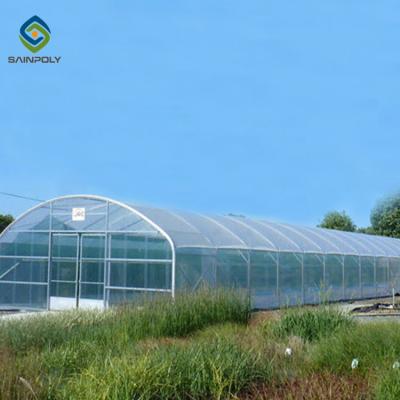 China Galvanized Steel Hoop Style Greenhouse Single Span Tunnel Strawberry Greenhouse for sale