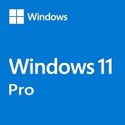 Κίνα Ηλεκτρονική ενεργοποίηση Χρήστης  Windows 11 Product Key Pro Retail 1 προς πώληση