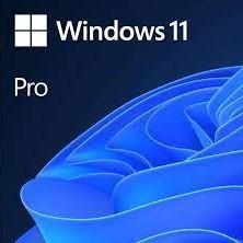 China Windows 11 Pro Oem Retail 1User Activation Key Te koop