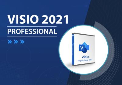 中国 Visio Professional 2021 5 User Activation Key For Windows Official Download 販売のため