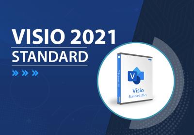 中国 Visio 2021 Standard 5 User Lifetime Software License Key Instant Delivery 販売のため