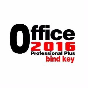 China Genuine Office 2016 Professional Plus Lifetime License Bind Key for sale